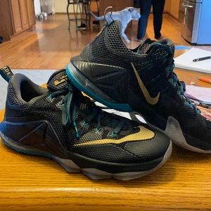 Lebron 12 Low SVSM series, light use